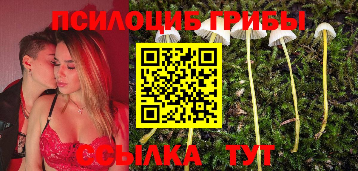Галлюциногенные грибы Psilocybine cubensis  Вход с VPN  Мурино  Галлюциногенные грибы ЛСД 