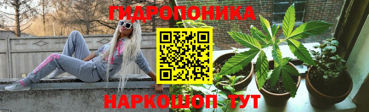 Бошки Шишки планчик  Шишки марихуана White Widow  Бошки марихуана Bruce Banner  Мурино  Вход с VPN  Канабис индика 