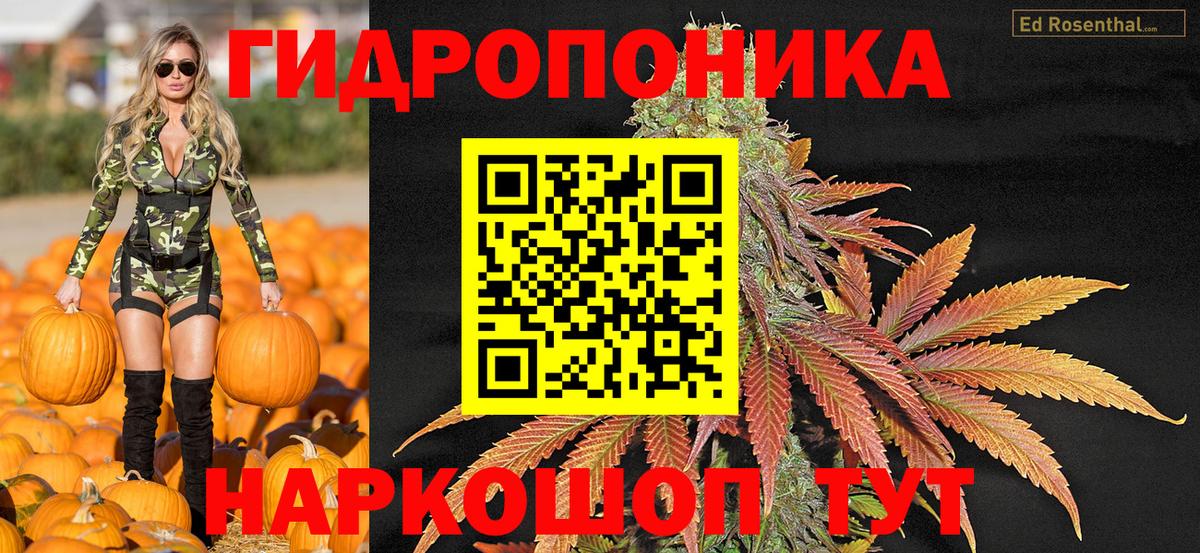 Марихуана THC 21% Мурино